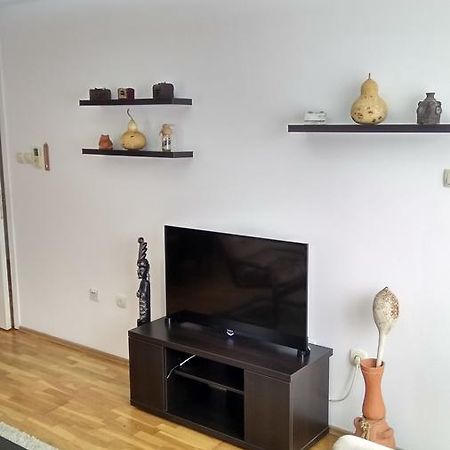 Jelena Apartments Novi Sad Bagian luar foto
