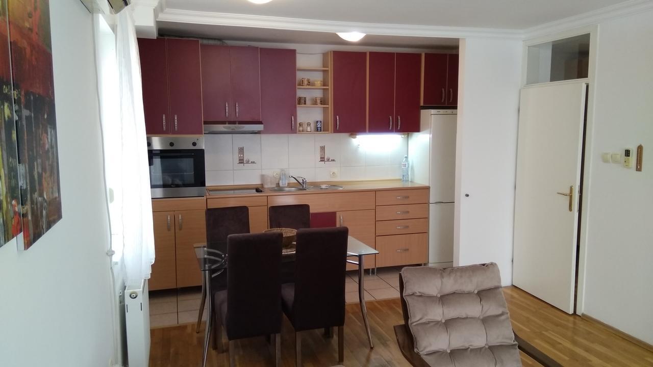 Jelena Apartments Novi Sad Bagian luar foto